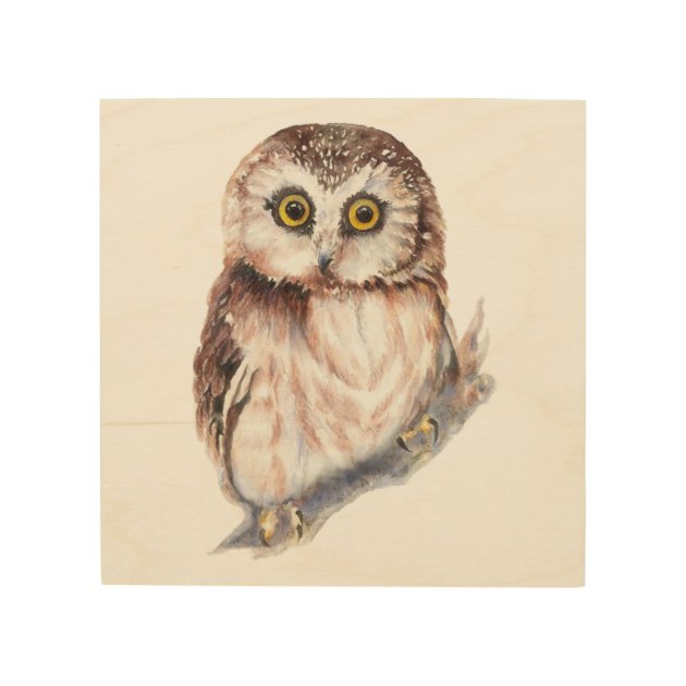 wildlife animals,minimalist Stefy artist reproduction warm colors watercolor poster Duo illustrations owl and feather watercolor duo